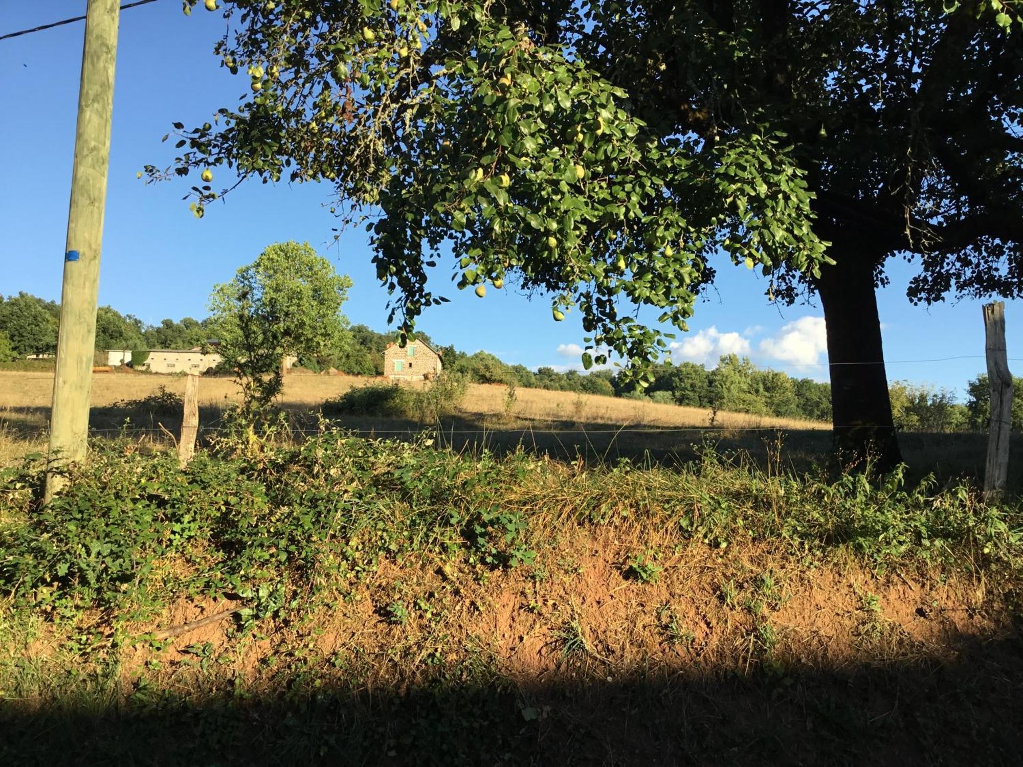 Le Clos De Rose Ussac Экстерьер фото